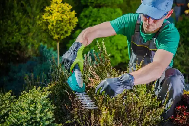 landscaping services Monroe City
